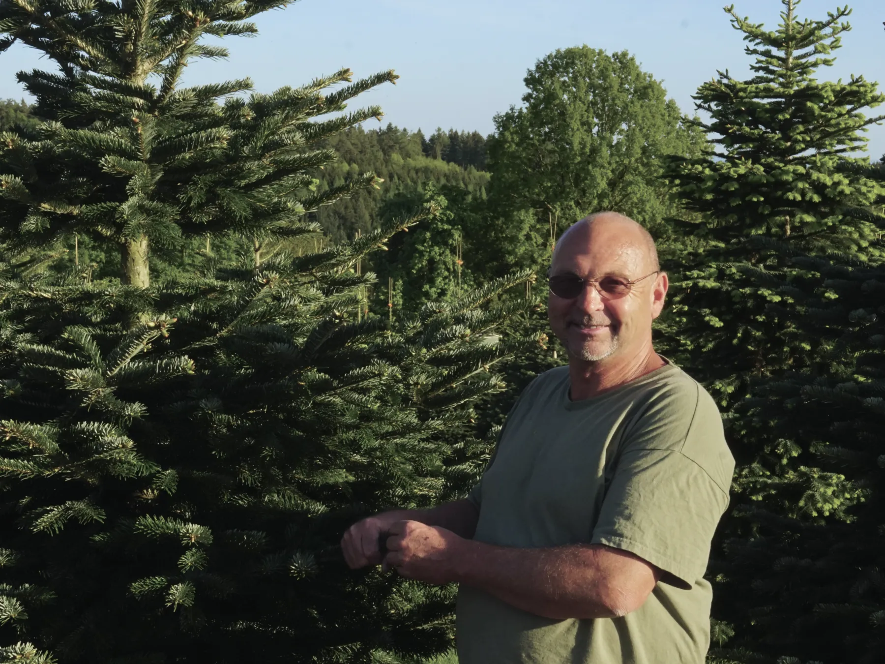 Markus Beuchert steht in einer Odenwaldtanne-Weihnachtsbaumkultur